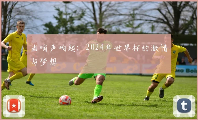 当哨声响起:2024年世界杯的激情与梦想
