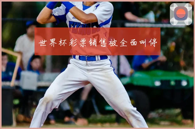 世界杯彩票销售被全面叫停