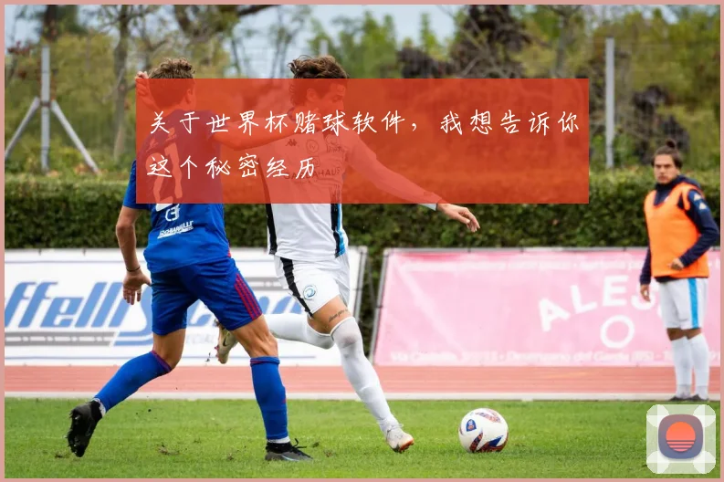 关于世界杯赌球软件，我想告诉你这个秘密经历