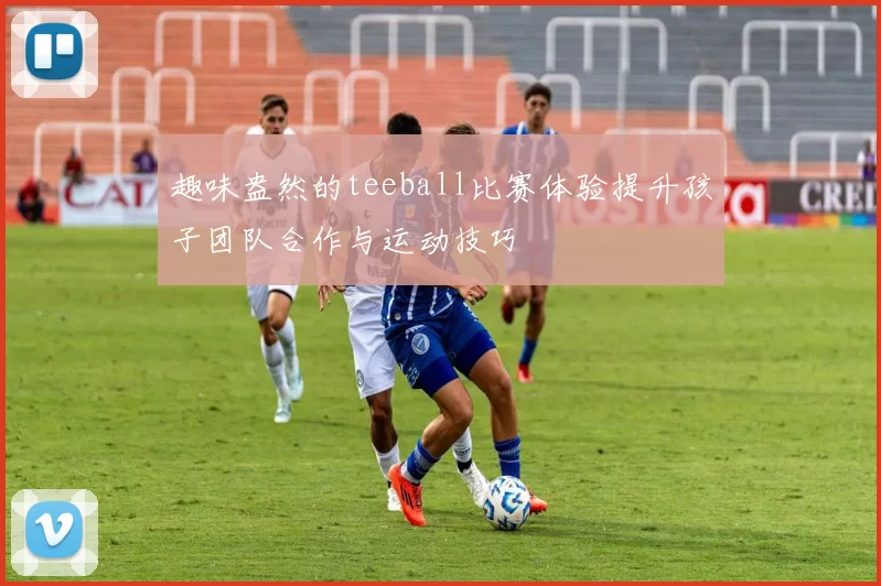 趣味盎然的teeball比赛体验提升孩子团队合作与运动技巧