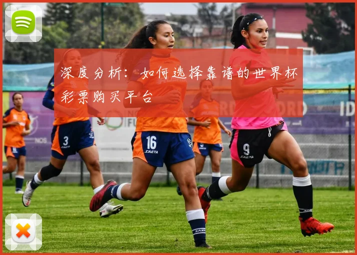 深度分析:如何选择靠谱的世界杯彩票购买平台