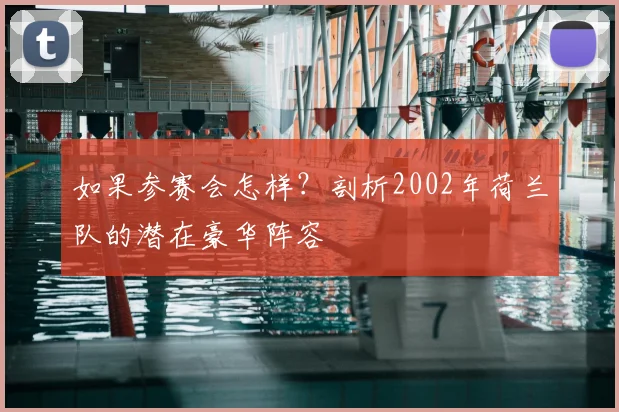 如果参赛会怎样?剖析2002年荷兰队的潜在豪华阵容
