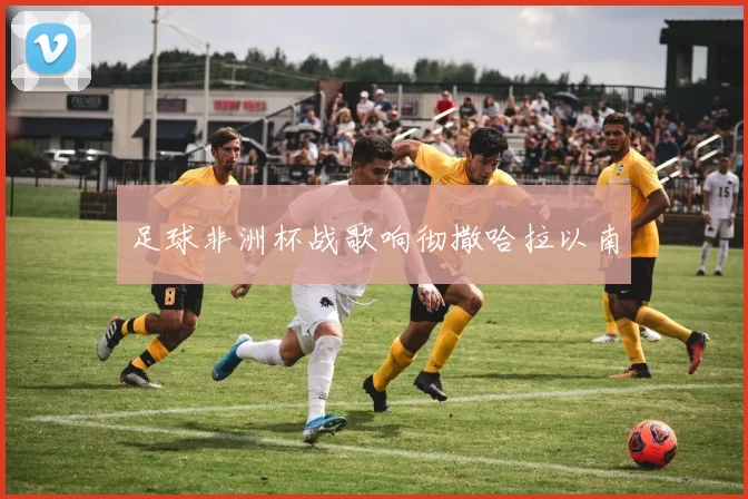 足球非洲杯战歌响彻撒哈拉以南