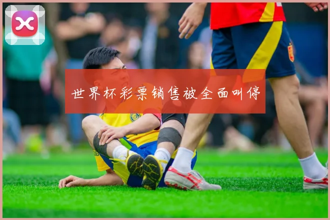 世界杯彩票销售被全面叫停