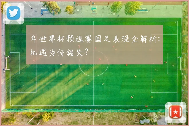 年世界杯预选赛国足表现全解析:机遇为何错失?