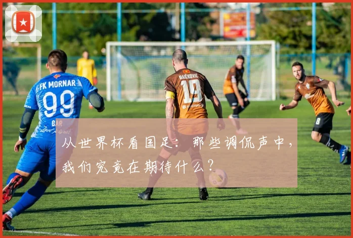从世界杯看国足:那些调侃声中,我们究竟在期待什么?